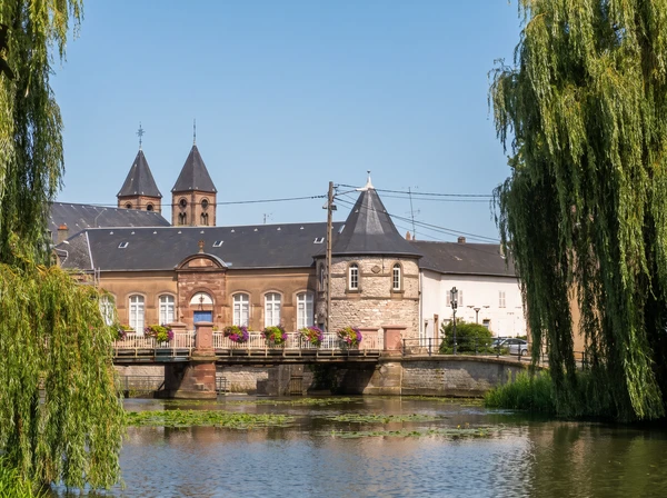 Vue panoramique de la ville de Sarrebourg avec ses bâtiments caractéristiques et son paysage urbain, capturée depuis une perspective qui montre clairement l'environnement urbain et la géographie locale. La photo doit être claire, professionnelle et représenter authentiquement la localité.